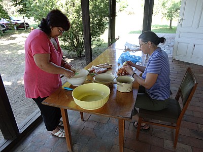 images/math-site/meetings/TanszCsalad/2015_06_06/big/DSC07921.jpg