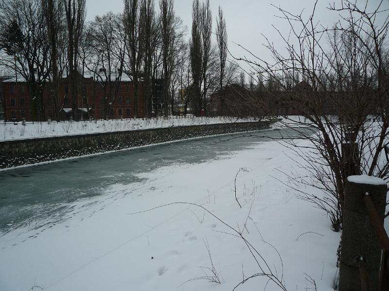 p1020967.jpg