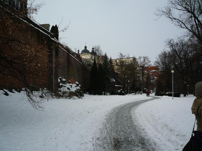p1030041.jpg