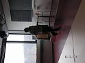 pict1068