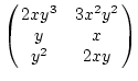 $\pmatrix{2xy^3&3x^2y^2 \cr y & x \cr y^2 & 2xy}$